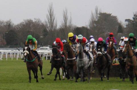 Kempton Park 15 Jan 2011 p r.jpg
