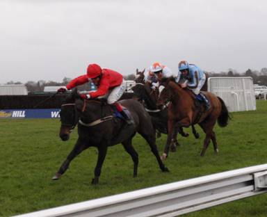 Kempton Park 15 Jan 2011 q r.jpg