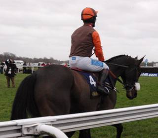 King George VI Chase 6 r.jpg