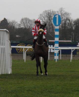 King George VI Chase 8 r.jpg