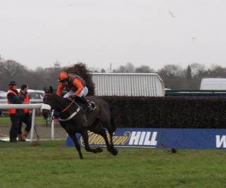 King George VI Chase 10 r.jpg