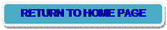 Rounded Rectangle: RETURN TO HOME PAGE
