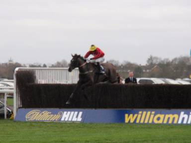 Kempton 26 12 11 Race 2 c r.jpg