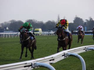 Kempton 11 Feb 2011 a r.jpg