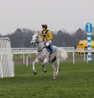 Kempton 11 Feb 2011 o r.jpg