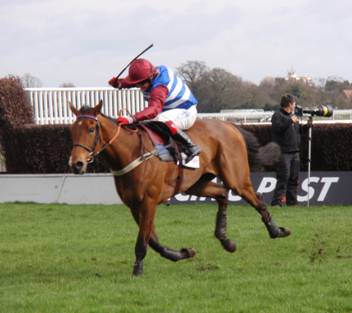 Kempton Park 26 Feb 2011 g r.jpg