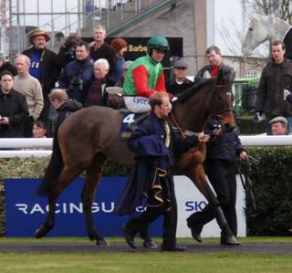 Kempton Park 27 Feb 2010 d r.jpg