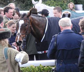 Kempton Park 27 Feb 2010 m r.jpg