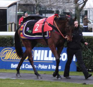 Kempton Park 27 Feb 2010 n r.jpg