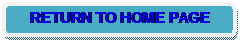 Rounded Rectangle: RETURN TO HOME PAGE
