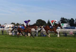Plumpton 21 Sep 08 Thumbnail 5.jpg