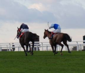Sandown 05 Dec 08 3 reduced.jpg