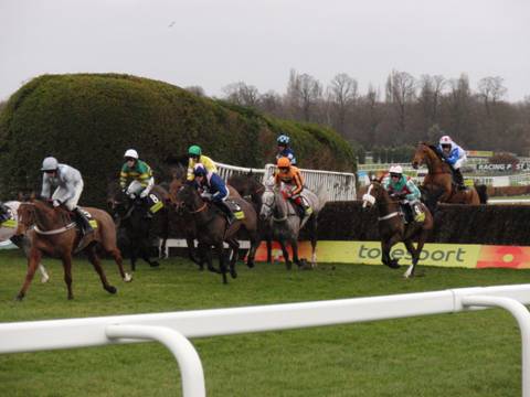 Sandown Park 05 Feb 2011 o r.jpg