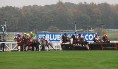 Sandown Park R5 b r.jpg