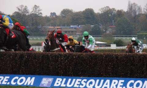 Sandown Park R6 b r.jpg