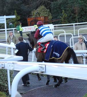 Sandown 08 Jan 2011 o r.jpg
