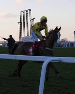 Sandown 08 Jan 2011 f r.jpg