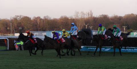 Sandown 08 Jan 2011 g r.jpg