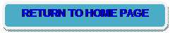 Rounded Rectangle: RETURN TO HOME PAGE