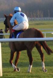 Newbury 29 Dec 08.jpg