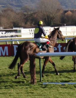 Cheltenham 24 Jan 09 red 7.jpg