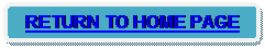 Rounded Rectangle: RETURN TO HOME PAGE 