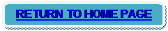 Rounded Rectangle: RETURN TO HOME PAGE 