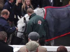 Walkon - Topham 2nd r.jpg