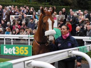 Sire De Grugy.jpg