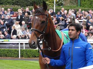 Cue Card.jpg