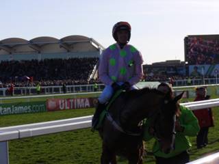 Faugheen.jpg