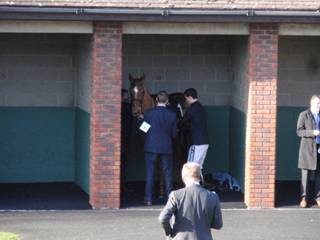 Annie Power.jpg