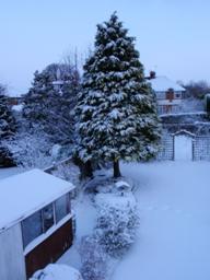 Back Garden 1.jpg