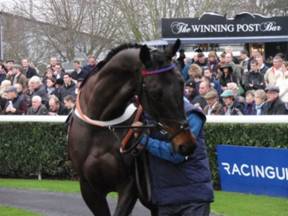 Sprinter Sacre r.jpg