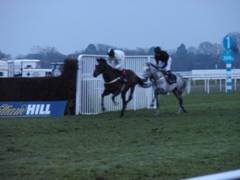 After race gallop red.jpg