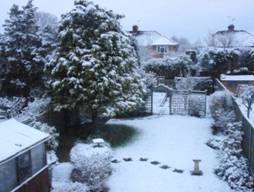 Snow 17 Jan 2016.jpg