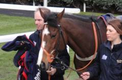 Blazing Bailey - happy retirement for blog.jpg