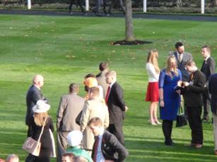 Choc in parade ring.jpg