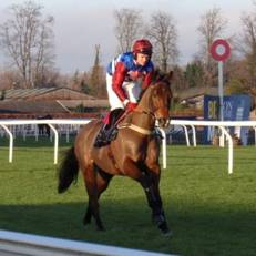 grumeti kempton dec 2013.jpg