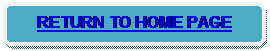 Rounded Rectangle: RETURN TO HOME PAGE 