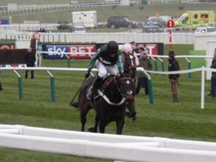 Altior for blog.jpg