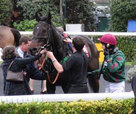 Kempton Park 31 Oct 2011 race 3 f r.jpg