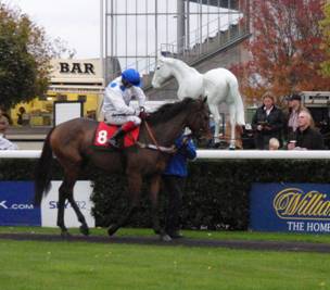 Kempton Park 31 Oct 2011 race 4 d r.jpg