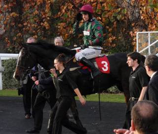 Kempton Park 31 Oct 2011 race 5 b r.jpg
