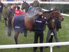 Newbury 27 Nov 2010 Dona r.jpg