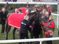 Newbury 27 Nov 2010 Denman 2 r.jpg