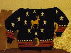 jane's jumper.jpg