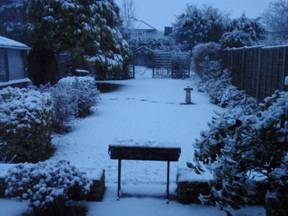 Snow 10 Dec.jpg