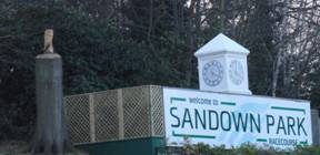 Sandown Park diary red.jpg