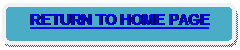 Rounded Rectangle: RETURN TO HOME PAGE